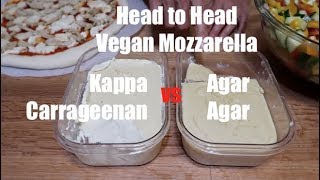 Vegan Mozzarella  Carrageenan vs Agar Agar  Head to Head [upl. by Otto588]