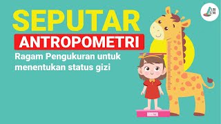 PENGUKURAN ANTROPOMETRI I MENENTUKAN STATUS GIZI [upl. by Enitsyrk]