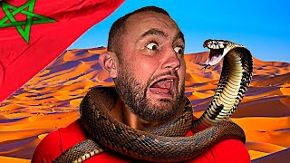 Attacked By A King Cobra In Morocco [upl. by Sallad]