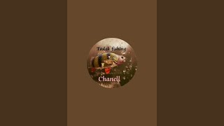 Todak Fishing chanel sedang live sekarang [upl. by Ahsikcin]