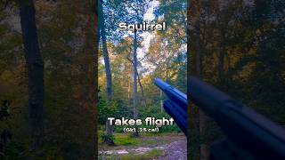 Huben GK1 25 sends squirrel into orbit airgun airgunhunting huben gk1 [upl. by Matthaus805]