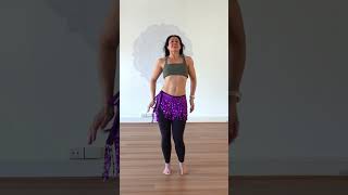 Shakira  Whenever Wherever  Beginners Belly Dance Choreography [upl. by Hound]