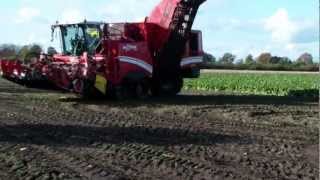 Grimme Maxtron 620 Fendt 920 mit Hilkenmulde [upl. by Starkey]