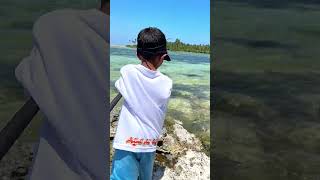 Kid Anglers in Action 🎣 fish fishing shorts youtubeshorts foryou viralvideo youtube kids [upl. by Nylisoj]