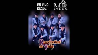 Rancheritos del valle  mix cumbias 2022 [upl. by Briano]