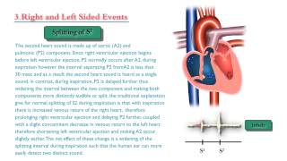 Heart sounds and Murmurs  Only sounds not a lecture [upl. by Herby530]