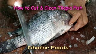 How to Cut amp Clean Tilapia Fish  Dhofar Foods [upl. by Yelruc]