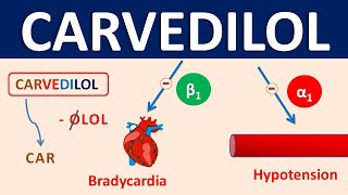 Carvedilol  Mechanism precautions side effects amp uses [upl. by Aracat]