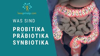 Probiotika Präbiotika und Synbiotika Was ist er Unterschied und wo sind sie enthalten [upl. by Timrek]