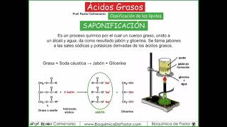 Clasificación de los lípidos  Ácidos Grasos parte VI [upl. by Brynn855]