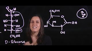 D and L configuration and converting from Fischer to a Haworth  Simple [upl. by Veronike]