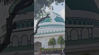 Nalchha Sharif dargah new video status 2024 dhar [upl. by Hooke669]