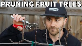 How To Prune Fruit Trees For SMALL Size And MAXIMUM Production [upl. by Deeraf682]