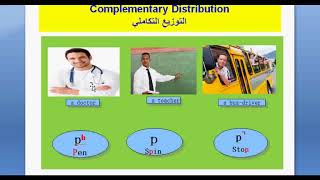 Phonology Lesson 4 comp Dist Free Variation Assimilation Elision [upl. by Essirehs955]