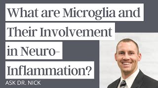 What are Microglia and Their Involvement in Neuroinflammation [upl. by Izmar468]