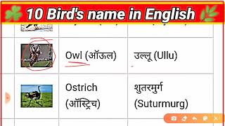 दस पक्षियों के नाम हिन्दी और अंग्रेजी में  10 birds name Hindi and English  das pakshiyon ke naam [upl. by Noinatrad]