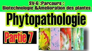 Phytopathologie Partie 7  Les domaines daction de la phytopathologie [upl. by Anaela750]