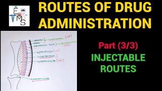 Routes Of Drug Administration [upl. by Nefets]