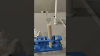 Elephant toothpaste experiment [upl. by Kipp348]