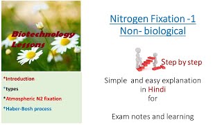 Non biological Nitrogen fixation [upl. by Thurnau]