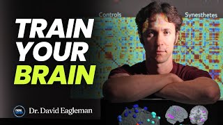 Optimize Your Brain For Better Health Performance amp Fulfillment  Neuroscientist Dr David Eagleman [upl. by Monah]