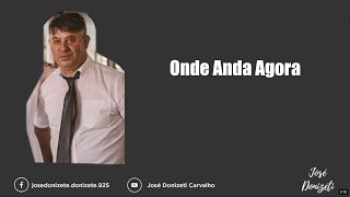 Onde anda Agora Donizetiwmv [upl. by Inod]