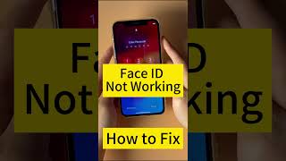 How to Fix iOS 17 Face ID Not Working shorts ios17 iphone [upl. by Kcirevam]