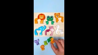 Baby Animals Names amp Facts For Toddlers kidslearning [upl. by Nirrej]