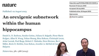 뇌과학 리뷰 quot뇌리quot An orexigenic subnetwork within the human hippocampus [upl. by Vinni]