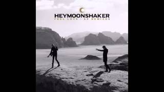 Heymoonshaker  Feel Love [upl. by Atinrahc]