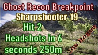 Ghost Recon Breakpoint Sharpshooter Rank 19 [upl. by Hukill488]