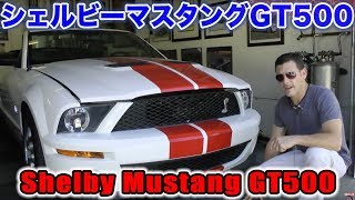 シェルビーマスタングGT500を運転してみた＆試乗インプレッション！Shelby Mustang GT500 Test Drive [upl. by Siderf]