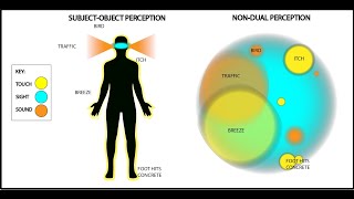 Dualism vs NonDualism Explained  with visuals [upl. by Nairret]