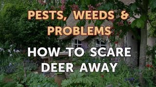 How to Scare Deer Away [upl. by Sirapal]