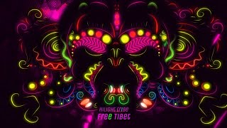 Hilight Tribe  Free Tibet Vini Vici Remix [upl. by Paloma]