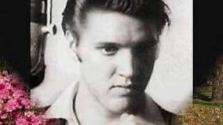 quotJUDYquot Original Elvis Recording  Written by Teddy Riedel [upl. by Laubin]