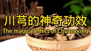 川芎的功效與作用 The efficacy and function of Chuanxiong [upl. by Fallon812]