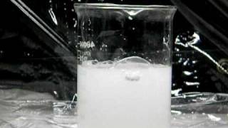 Calcium Reacts with Water [upl. by Horter]