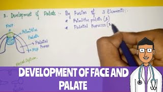 Development of face Upper Lip and Palate [upl. by Jez835]