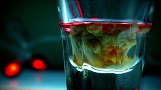 How to Make A Brain Hemorrhage Shot  Cocktail Recipe [upl. by Rafi]