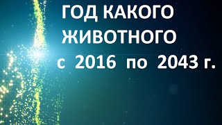 Год какого животного 2018 по гороскопу по годам по китайскому календарю сейчас [upl. by Garrard]