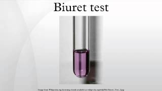 Biuret test [upl. by Capello]