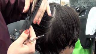 HAIRCUTTING Layer haircut with scissors [upl. by Ymrots]