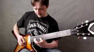 Pantera  Im Broken Cover by Vladimir Shevyakov [upl. by Dorwin838]