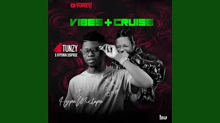 Vibes  Cruise MIX [upl. by Eirtemed]