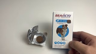 Bravecto dog  Bravecto Hund  Bravecto® Kautablette für Hunde [upl. by Aniaj]