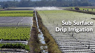 Sub Surface Drip Irrigation E [upl. by Tamberg]