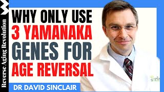 DAVID SINCLAIR quotWhy Use Only 3 Yamanaka Genes For Age Reversalquot  Dr David Sinclair Interview Clips [upl. by Adabelle]