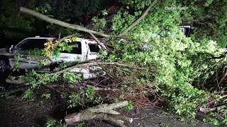 RAW VIDEO Minnesota Storm Damage [upl. by Darleen]