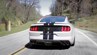 Shelby GT350 Sights amp Sounds  Beauty Exhaust Flyby  Everyday Driver [upl. by Terryl]